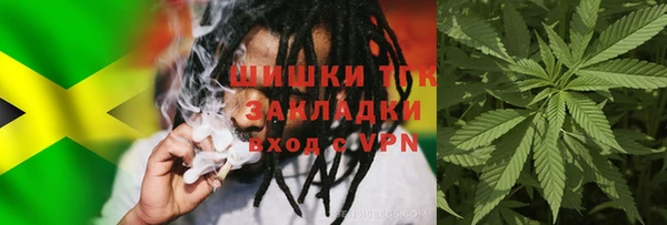 СК Заводоуковск
