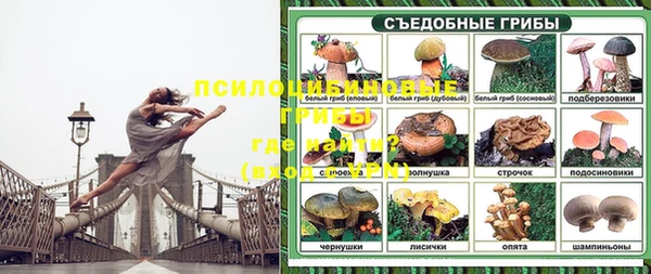 СК Заводоуковск