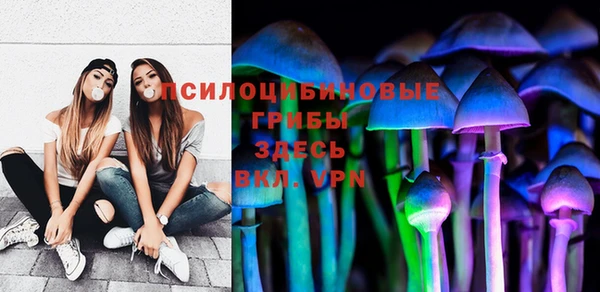 СК Заводоуковск